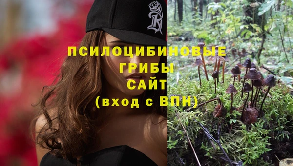 мяу мяу мука Алзамай