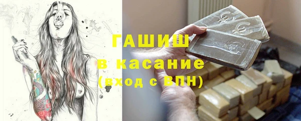 индика Абаза