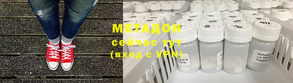 индика Абаза