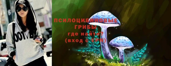 мяу мяу мука Алзамай