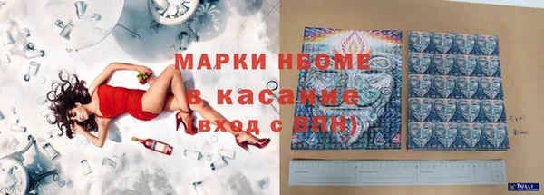 индика Абаза
