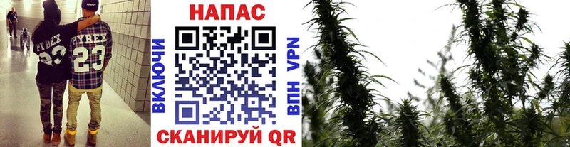 Канабис OG Kush  Нижний Ломов 
